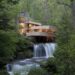 Biophilic design