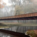 Bos-Brug-ontwerp-ib Holland Dynamics